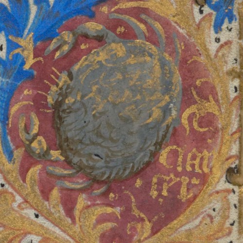 Imagen de un cangrejo como símbolo de cáncer.