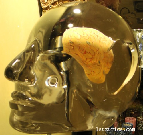 Cerebro, a la vista de todos