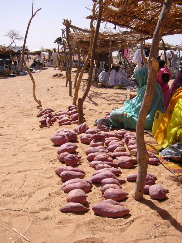 Estampa en Chad. Foto: Mark Knoboll